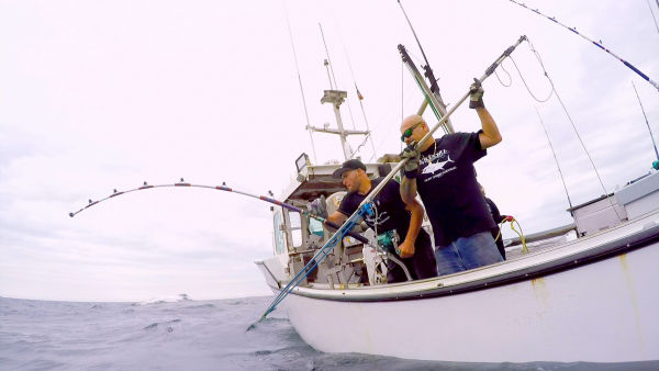 Korkusuz Balıkçılar