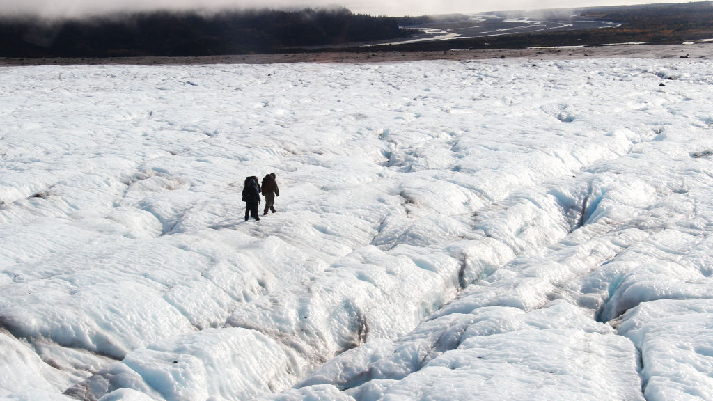 Alaska Da Hayatta Kalmak National Geographic Bu Belgeselleri Kacirma