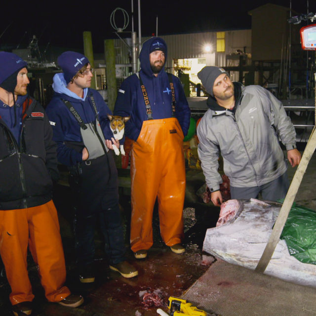 Korkusuz Balıkçılar: Kuzey Güney'e Karşı