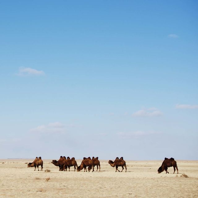 Vahşi Moğolistan: Aşırılıklar Diyarı
